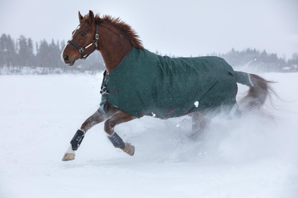 Horseware Rambo Original Turnout L/A 100g