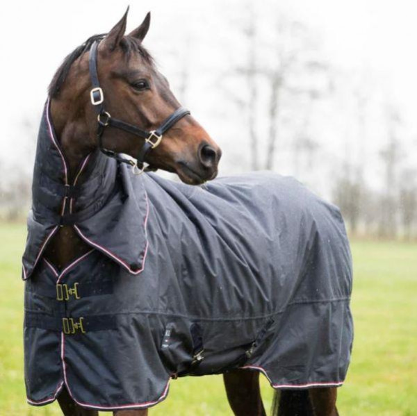 Kingsland Primary Turnout Rug m. abnehmbaren Halsteil 400g