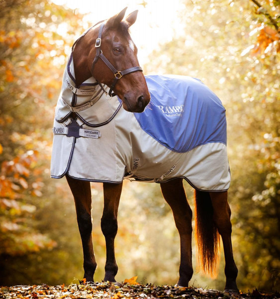 Horseware Rambo Autumn Series 0g & 100g Liner