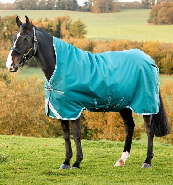 Horseware Amigo Bravo 12 Wug Medium 250 Gramm Storm Green